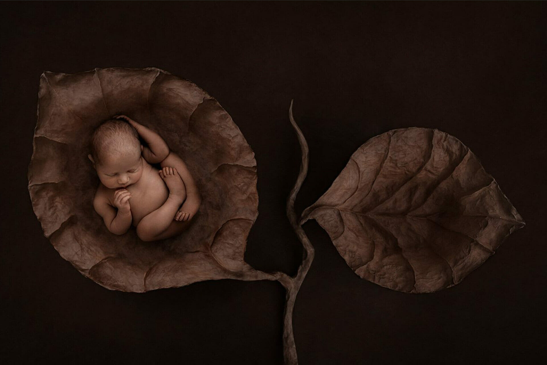 Kelly brown | Children photography, Baby photography, Newborn pictures
